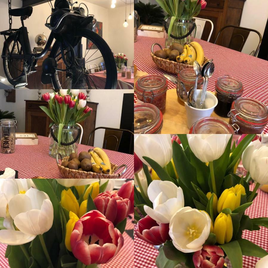 B&B - Le Jardin Du Palais Carcassonne Eksteriør bilde